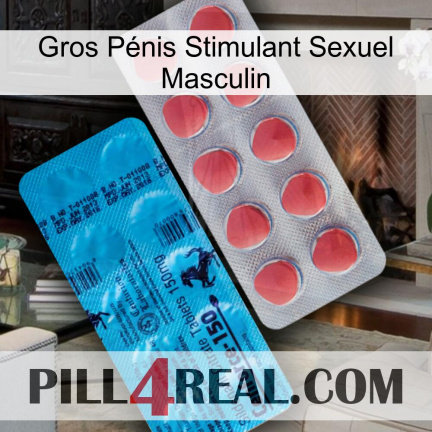 Gros Pénis Stimulant Sexuel Masculin new14
